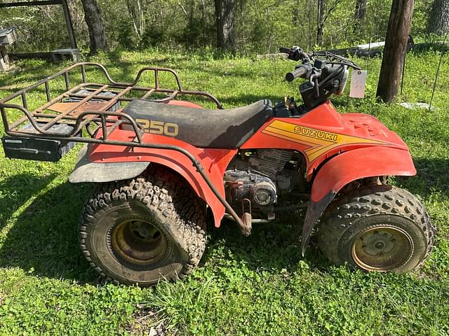 Image of Suzuki Quad Runner 250 equipment image 1