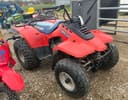 Suzuki Quad Runner 300 Image