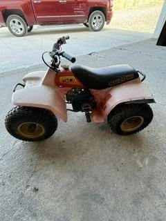 Suzuki Quadrunner 50 Equipment Image0
