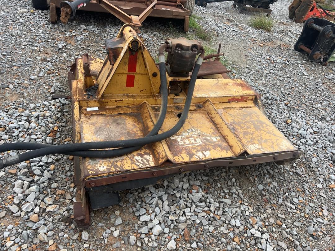 Image of Tiger Undetermined Image 1