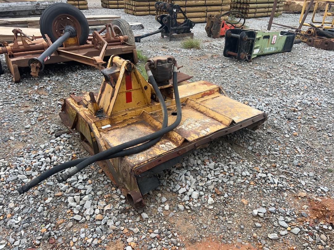 Image of Tiger Undetermined Image 0