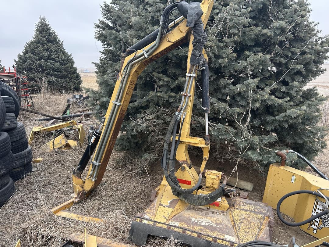 Image of Tiger Bengal Primary image