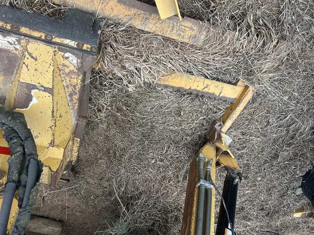 Image of Tiger Bengal equipment image 4