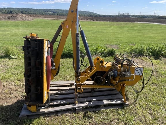 Main image Tiger Undetermined