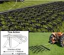 Titan Chain Harrow Image