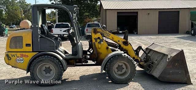 Image of Wacker Neuson WL36 equipment image 3