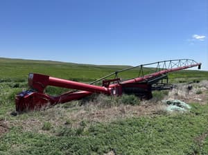 Wheatheart X130-94 Image
