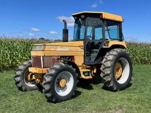 White American 80 Image