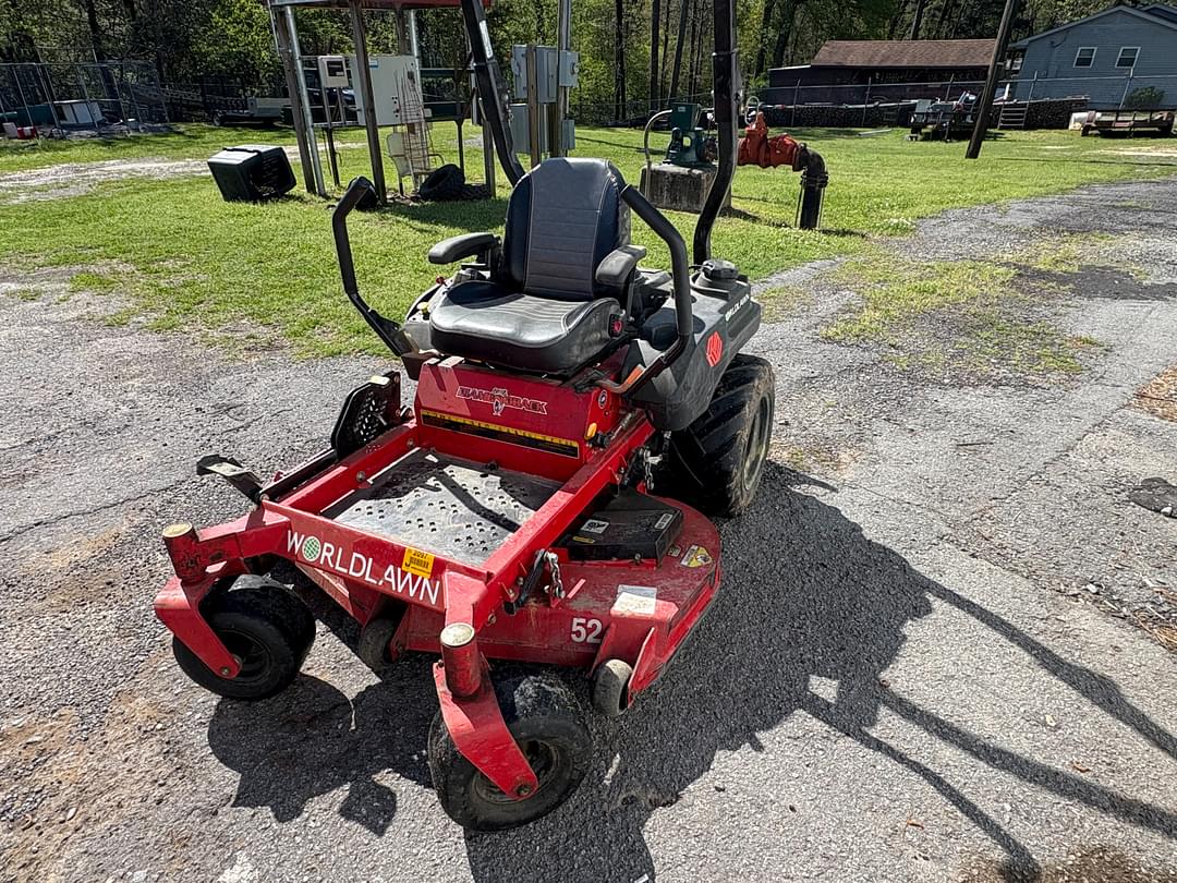 Image of Worldlawn Diamondback Primary image