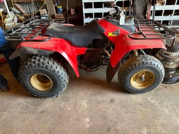 Main image Yamaha Moto 4