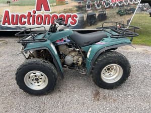 Yamaha Timberwolf Image