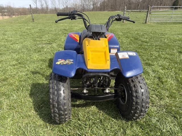 Image of Yamaha Badger equipment image 3