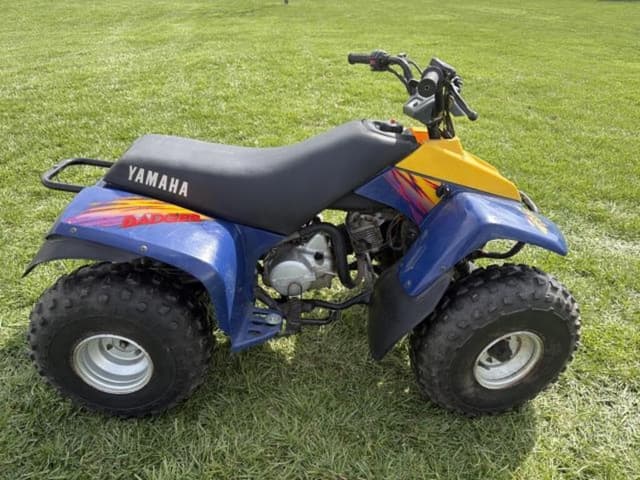 Image of Yamaha Badger equipment image 2