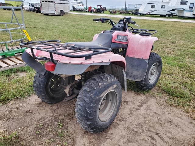 Image of Yamaha Big Bear equipment image 2