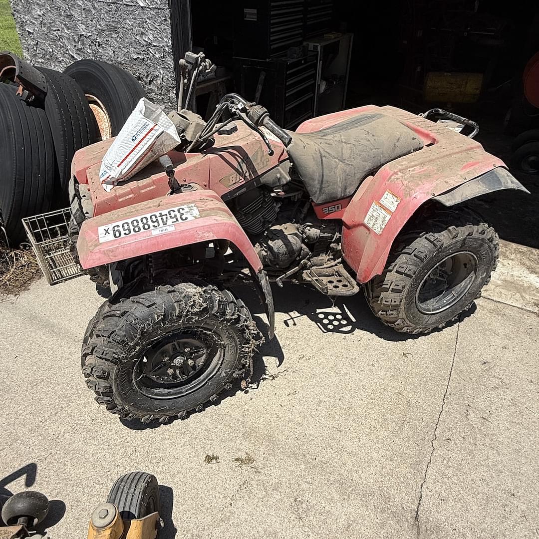 Image of Yamaha Big Bear 350 Primary image