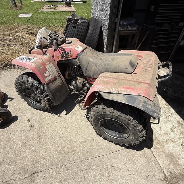 Image of Yamaha Big Bear 350 equipment image 1