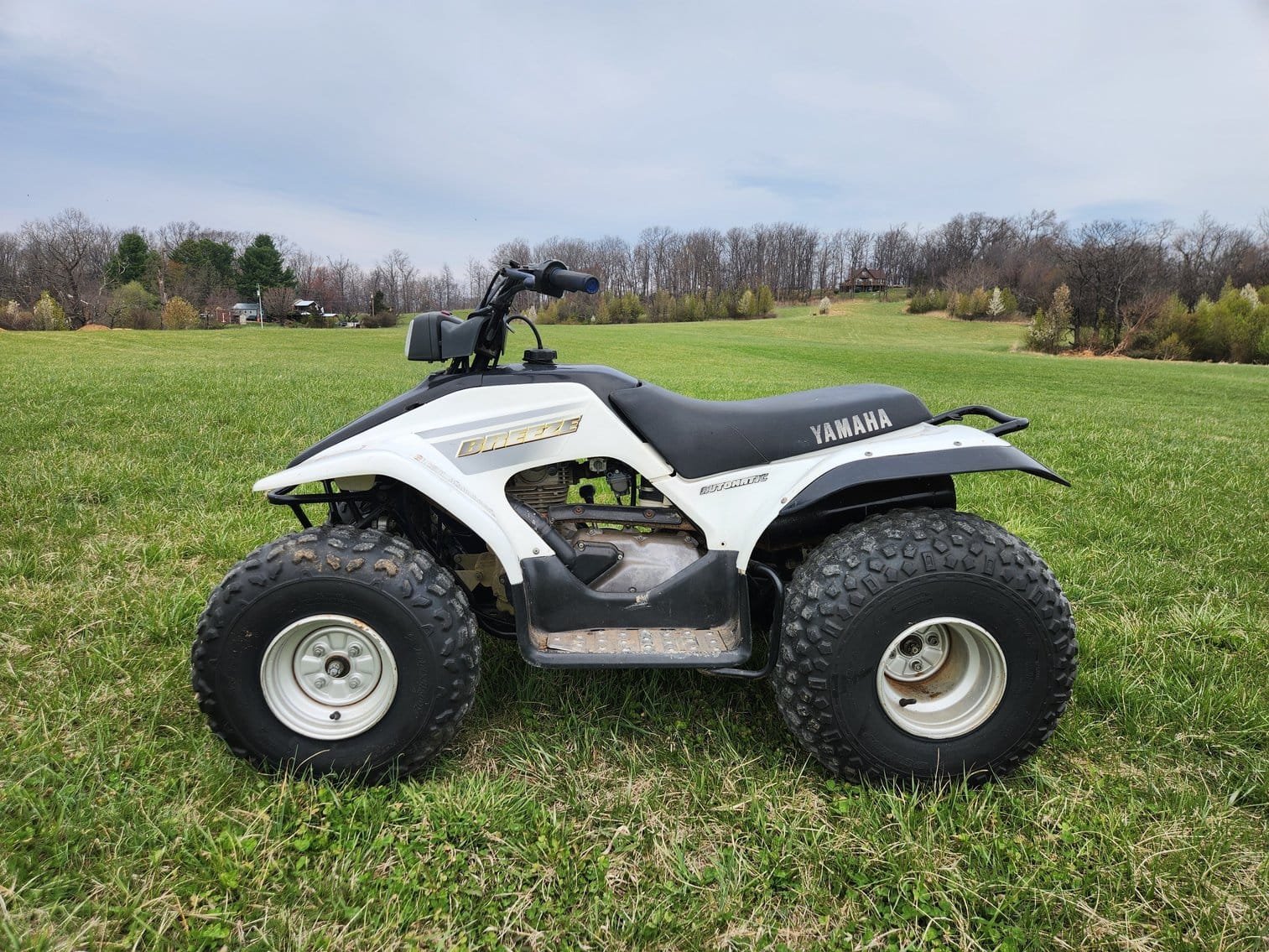 Yamaha BREEZE Equipment Image0