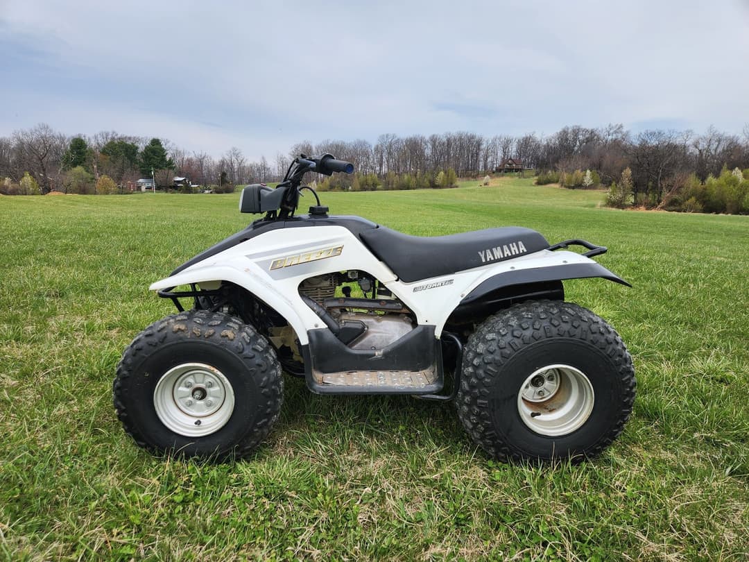 Image of Yamaha BREEZE Primary image