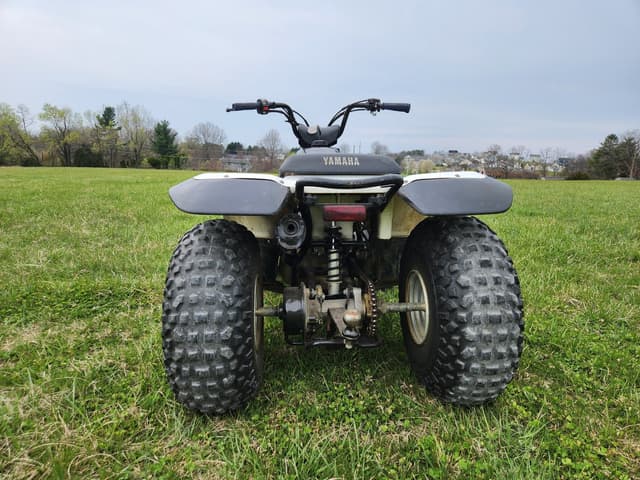 Image of Yamaha BREEZE equipment image 3