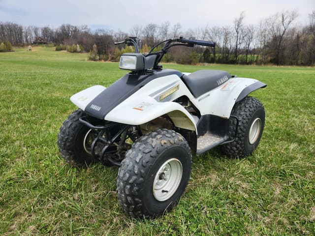 Image of Yamaha BREEZE equipment image 1