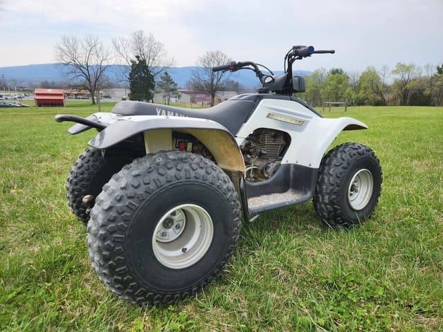 Image of Yamaha BREEZE equipment image 2