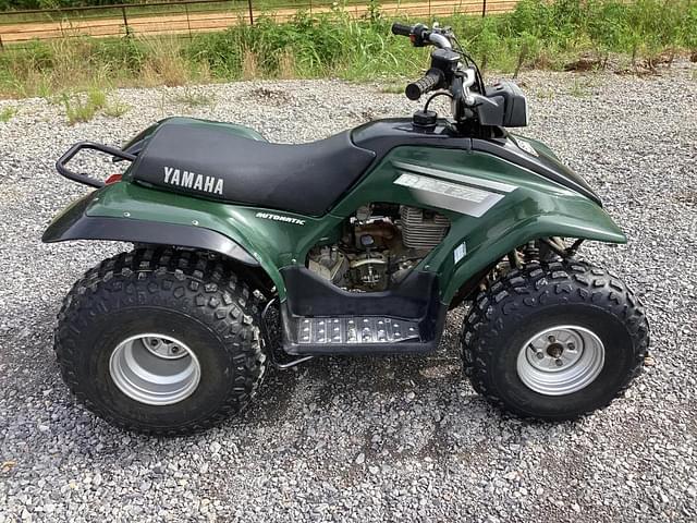 Image of Yamaha BREEZE equipment image 1