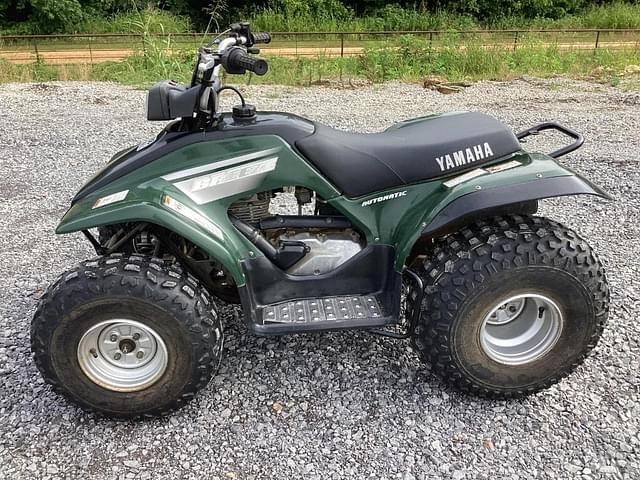 Image of Yamaha BREEZE equipment image 3