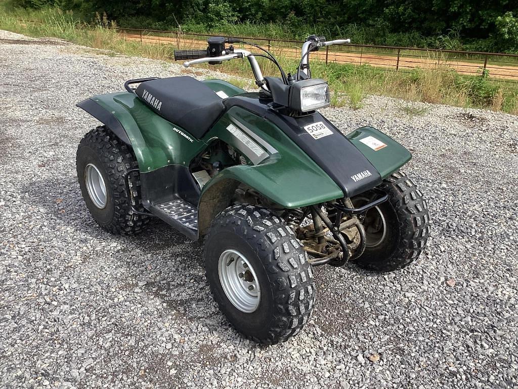 Image of Yamaha BREEZE Primary image