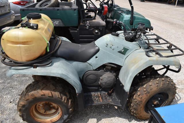 Image of Yamaha Bruin equipment image 4