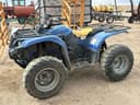 Yamaha Grizzly 450 Image