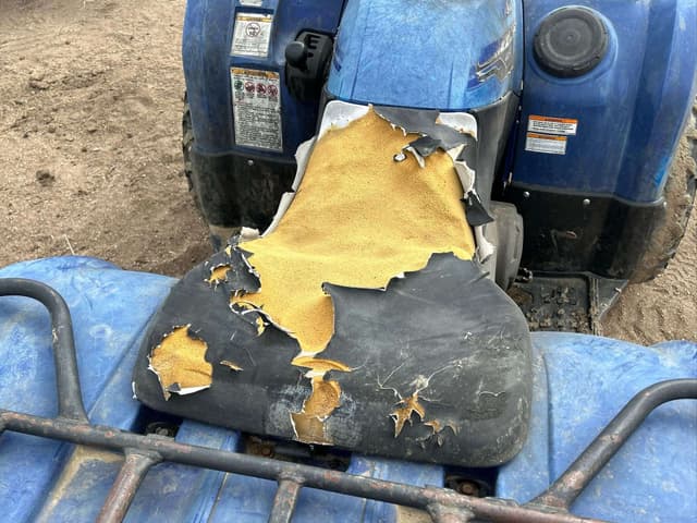 Image of Yamaha Grizzly 450 equipment image 4