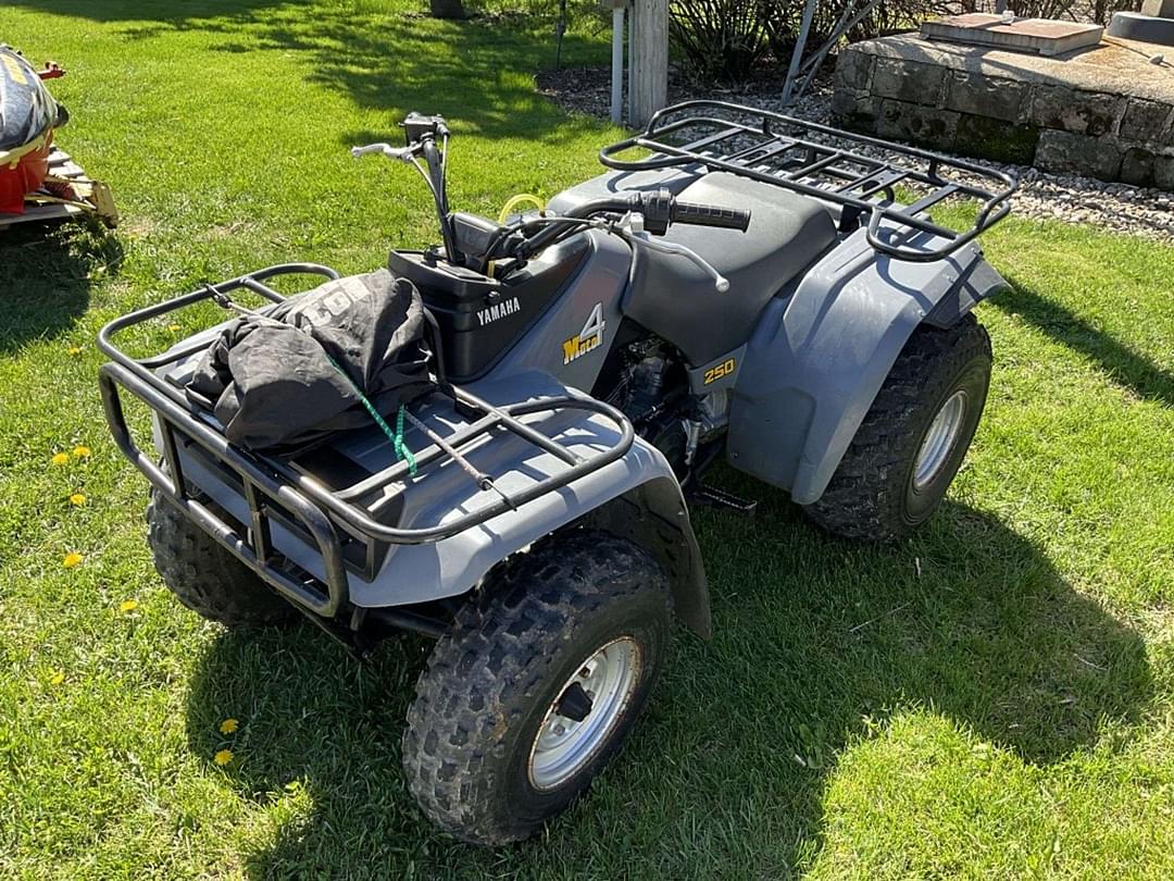 Image of Yamaha Moto 4 250 Primary image