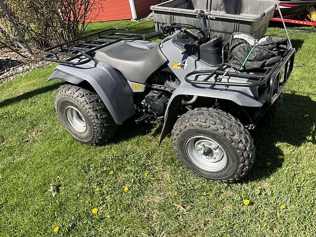 Image of Yamaha Moto 4 250 equipment image 1