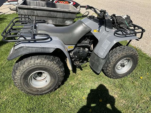 Image of Yamaha Moto 4 250 equipment image 2