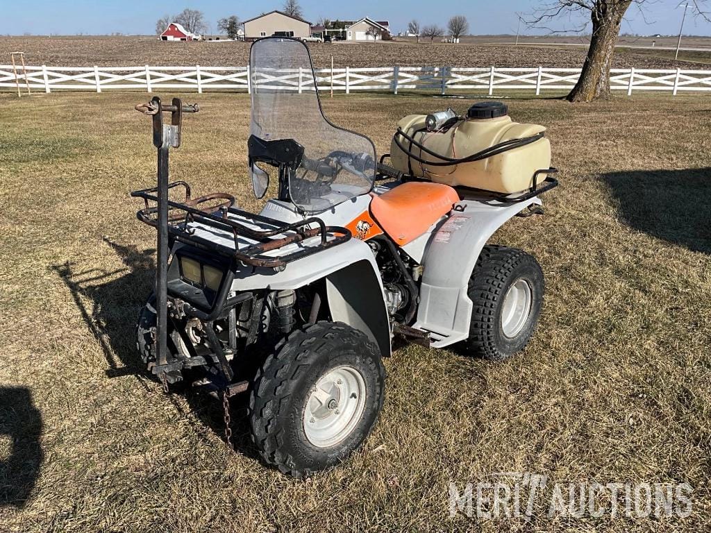 Main image Yamaha Timberwolf