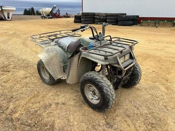 Main image Yamaha Timberwolf