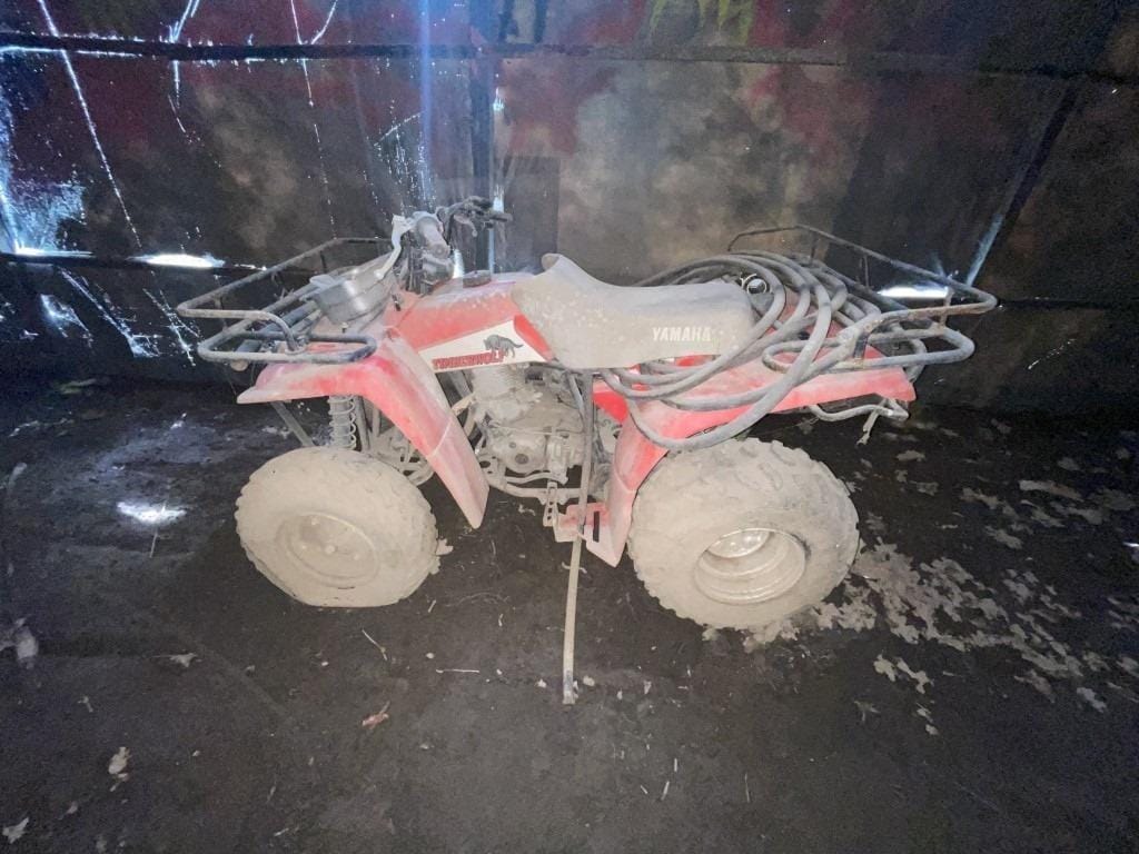 Main image Yamaha Timberwolf