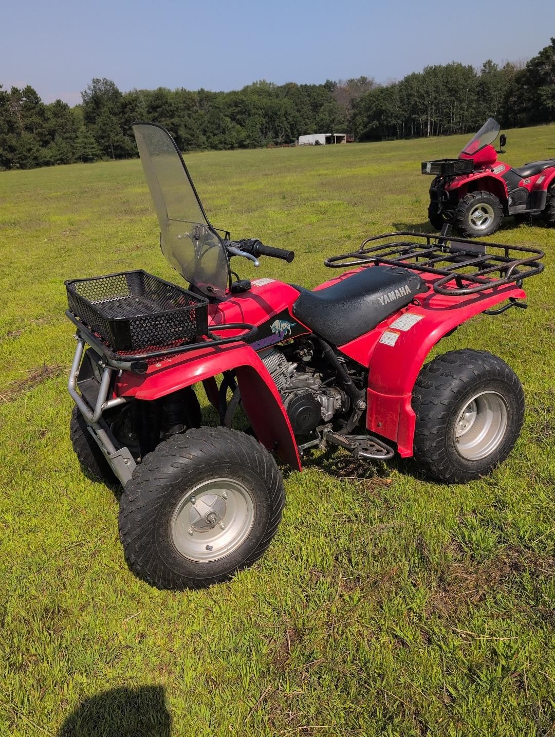 Yamaha Timberwolf Equipment Image0
