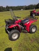 Yamaha Timberwolf Image