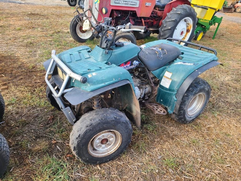 Main image Yamaha Timberwolf