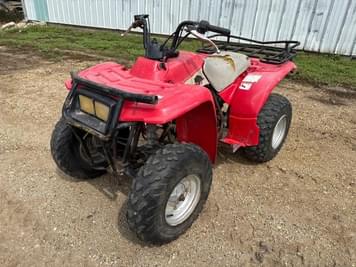 Main image Yamaha Timberwolf