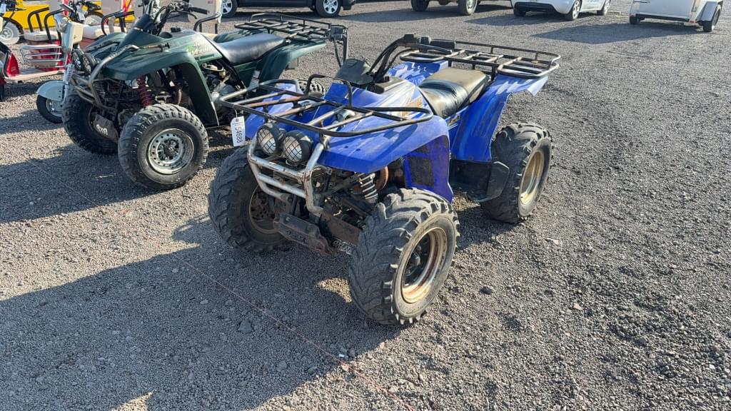 Image of Yamaha Wolverine ATV Primary image