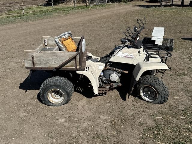 Image of Yamaha Pro Hauler equipment image 3