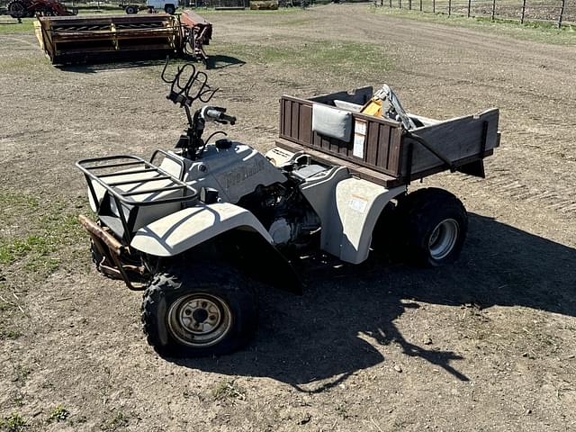Image of Yamaha Pro Hauler equipment image 1