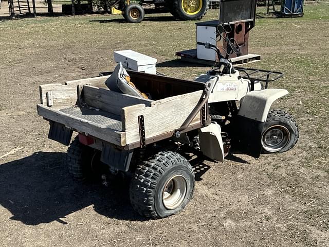 Image of Yamaha Pro Hauler equipment image 4